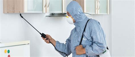 most reliable pest control in aurora